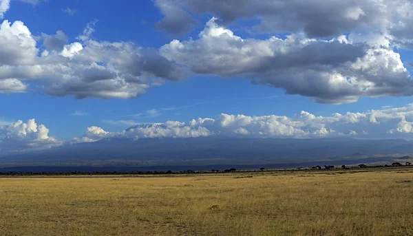 Park narodowy Amboseli — Zdjęcie stockowe