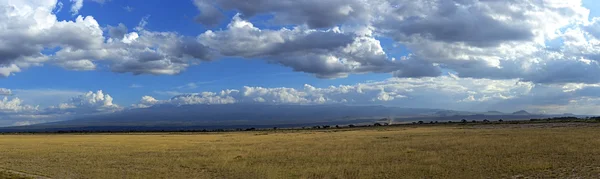 Amboseli National Park — Stock Photo, Image