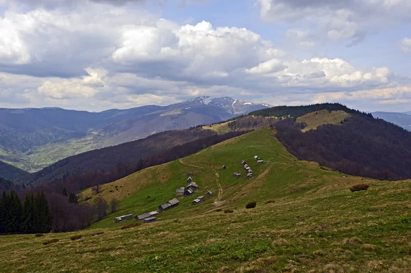 Krajobraz górskich Karpat — Zdjęcie stockowe