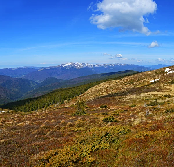 山カルパチアの風景 — ストック写真