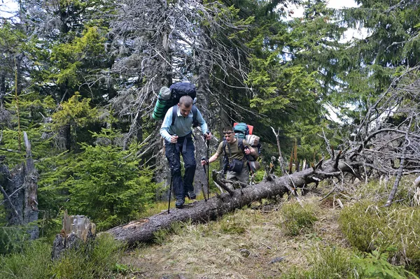 Tourists in mountains Carpathians — Stock Photo, Image