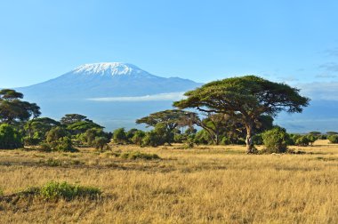 Amboseli Ulusal Parkı