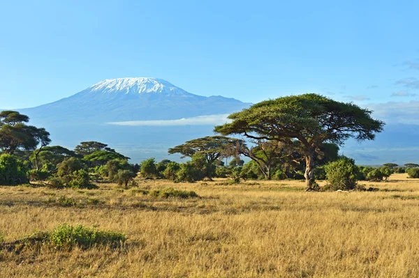 Amboseli Nationaalpark — Stockfoto