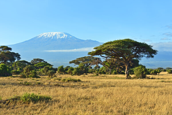 Amboseli National Park