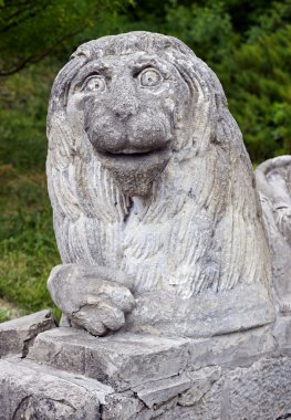 Leon olesko kale içinde