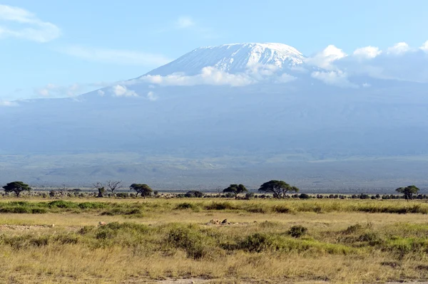 Keňské savany krajina — Stock fotografie