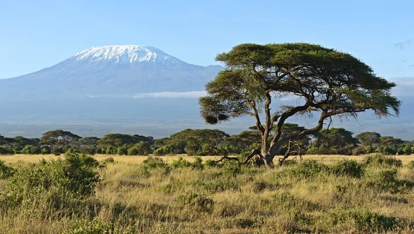 Amboseli nationalpark — Stockfoto