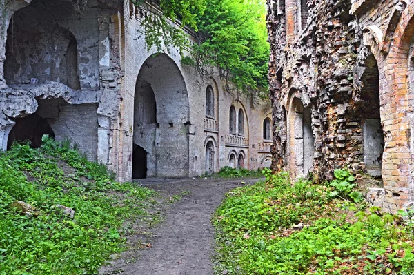 Fort Cockroaches in Rivne — Stock Photo, Image