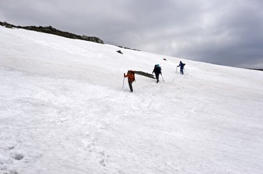 Karpatlar dağlar