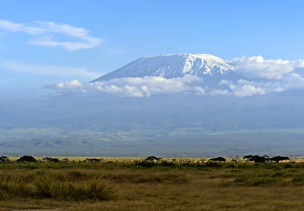 Montagna del Kilimangiaro — Foto Stock