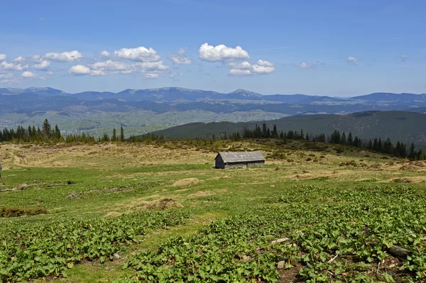 Berget — Stockfoto