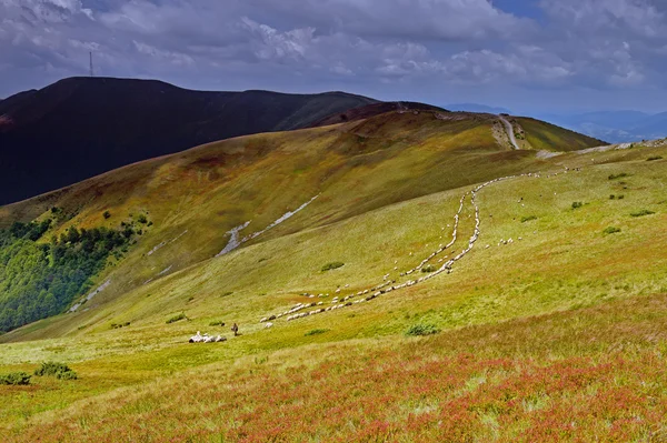 Reizen langs de bergkam in de zomer — Stockfoto