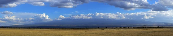 Panorama de la savane africaine — Photo