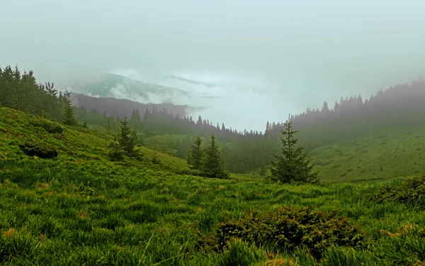 Montaña — Foto de Stock