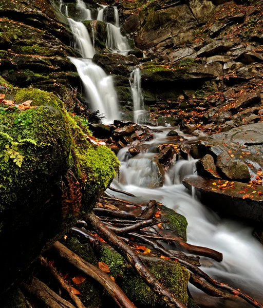 Procházka podzimní park podzim — Stock fotografie