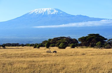 Panorama of African savannah clipart