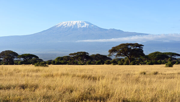 Amboseli National Park and Mount Kilimanjaro in Kenya
