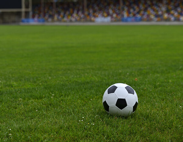 Leather soccer ball