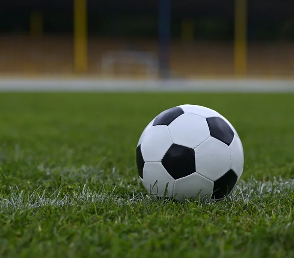 Läder fotboll boll — Stockfoto