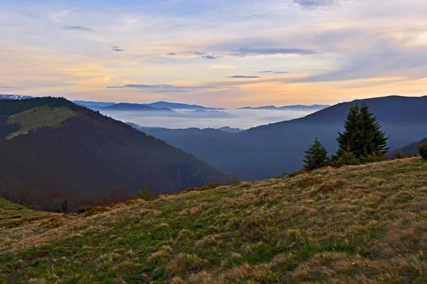 Landschap — Stockfoto