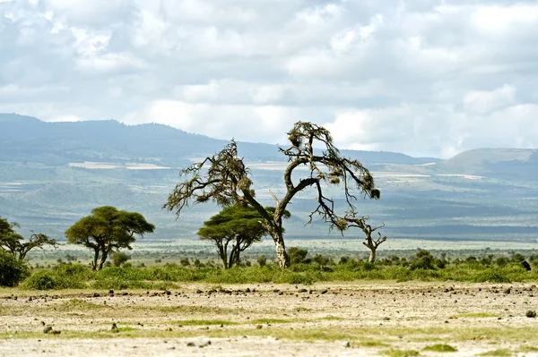 Landscape — Stock Photo, Image