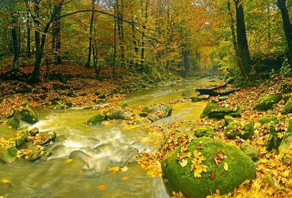 Otoño paisaje montaña río —  Fotos de Stock