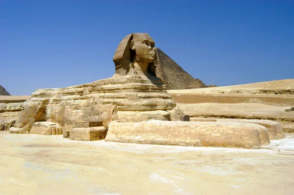 Great sphinx in Cairo Stock Photo