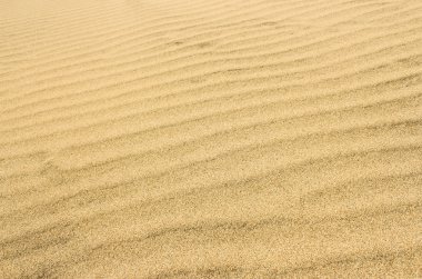 sandy çöl yüzeyinin