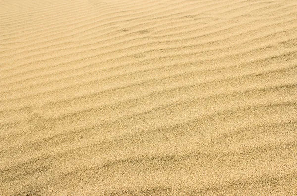 sandy çöl yüzeyinin