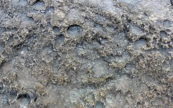 arka plan ıslak taş