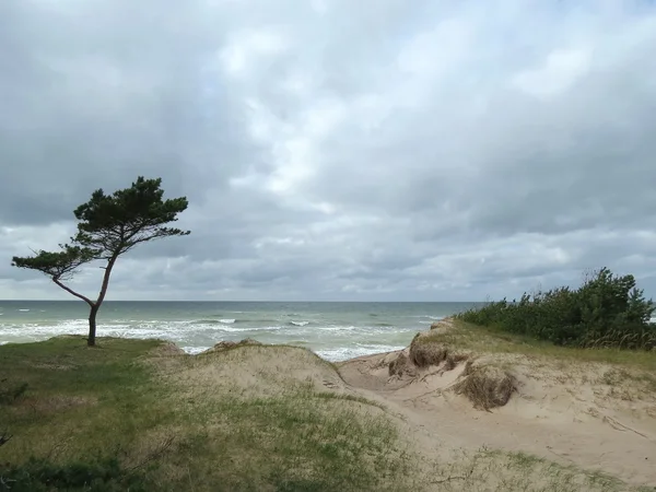 Ostseeküste — Stockfoto