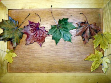 Sonbahar Yaprakları