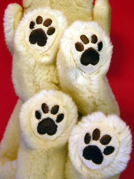 Dogs foot, toy — Stock Photo, Image