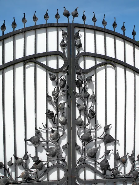 Metal gate decorated with flora Royalty Free Stock Photos