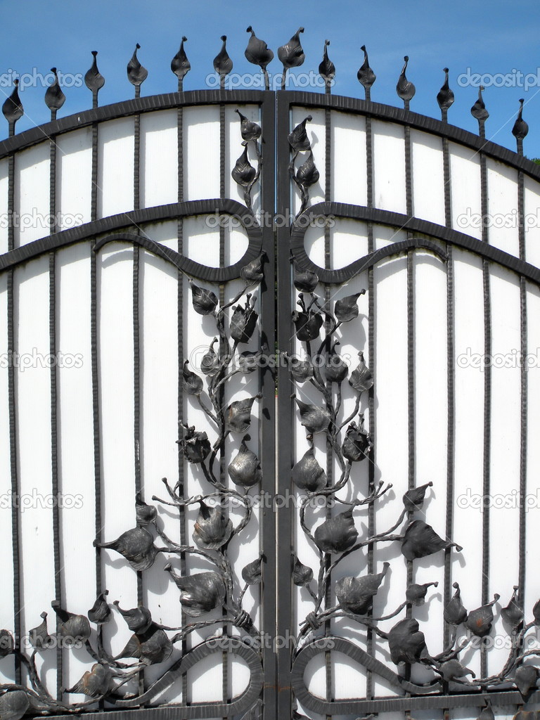 Metal gate decorated with flora