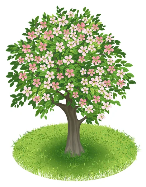 Blossoms Tree in green field — Stock Vector