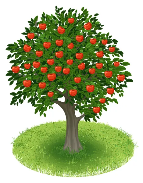 リンゴの木 Stock Vectors Royalty Free リンゴの木 Illustrations Depositphotos