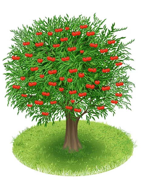 Cerisier dans un champ vert — Image vectorielle
