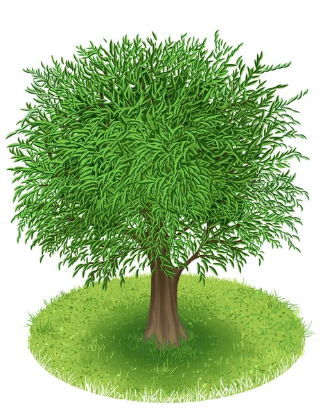 Árvore no campo verde —  Vetores de Stock