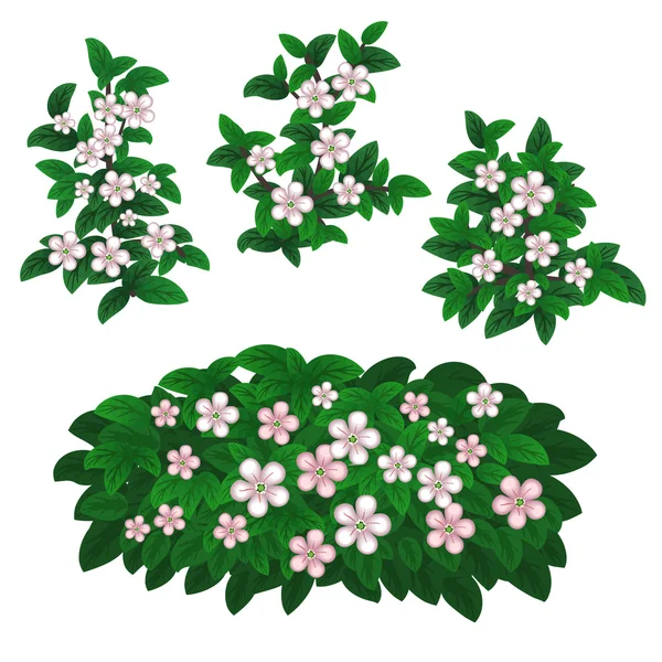 Flowering Berry plants — Stock Vector