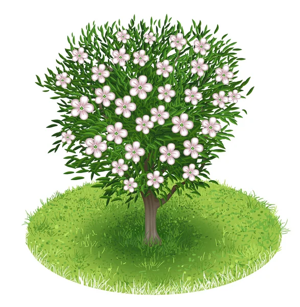 Árbol en campo verde — Vector de stock