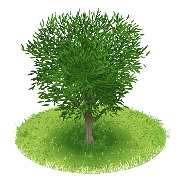 Baum auf der grünen Wiese — Stockvektor