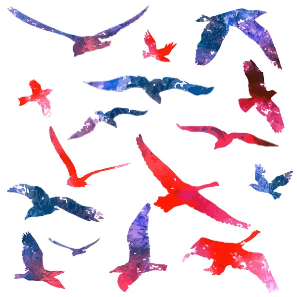 Aquarelles oiseaux — Image vectorielle