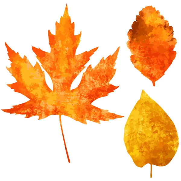 Hojas de otoño — Vector de stock