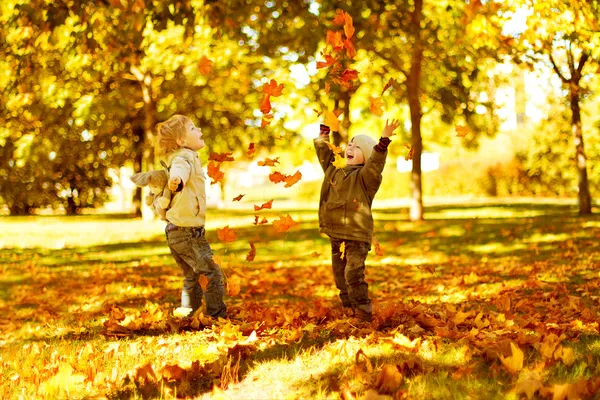 Kinderen spelen met herfst gevallen bladeren in het park Rechtenvrije Stockfoto's