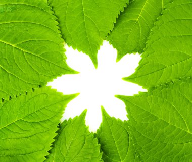 yeşil yaprakları çiçek şekil