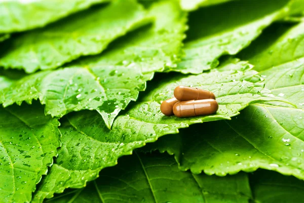 Comprimidos sobre folhas verdes com gotas de água — Fotografia de Stock