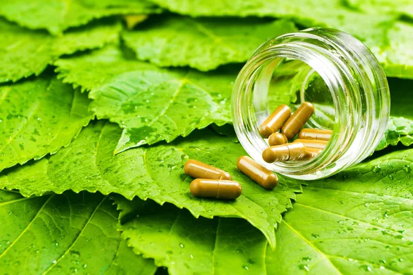 hapları kavanozuna yeşil yaprakların üzerinde. sağlıklı vitamin kavramı