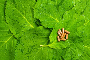 hapları üzerinde yeşil yaprakları. homeopatic tıp