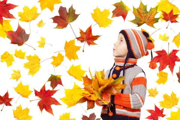 Ребёнок в осенних листьях. Клен падает на белый — стоковое фото